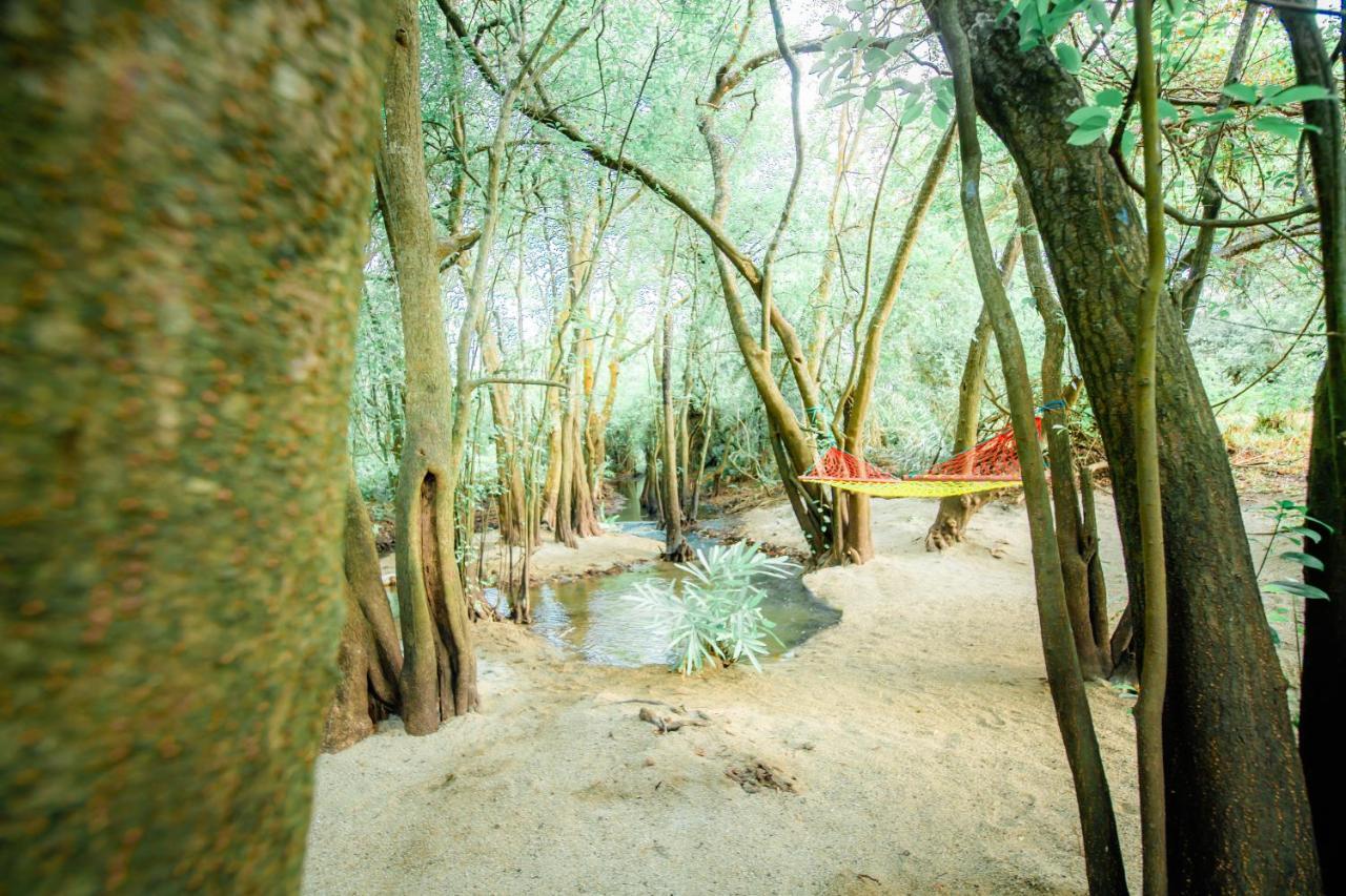 Kayjay Wild Wilpattu Hotel Bagian luar foto