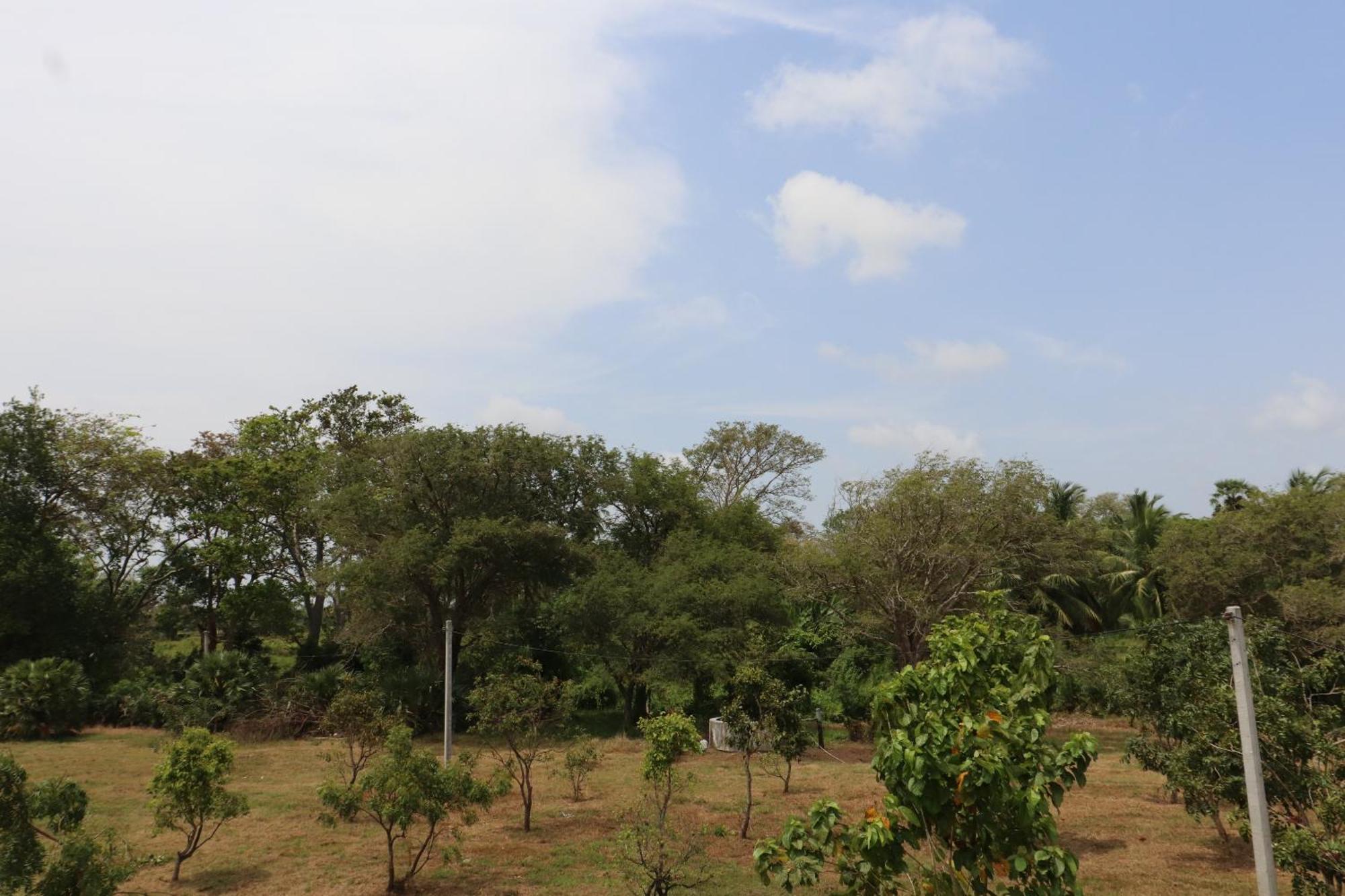 Kayjay Wild Wilpattu Hotel Bagian luar foto