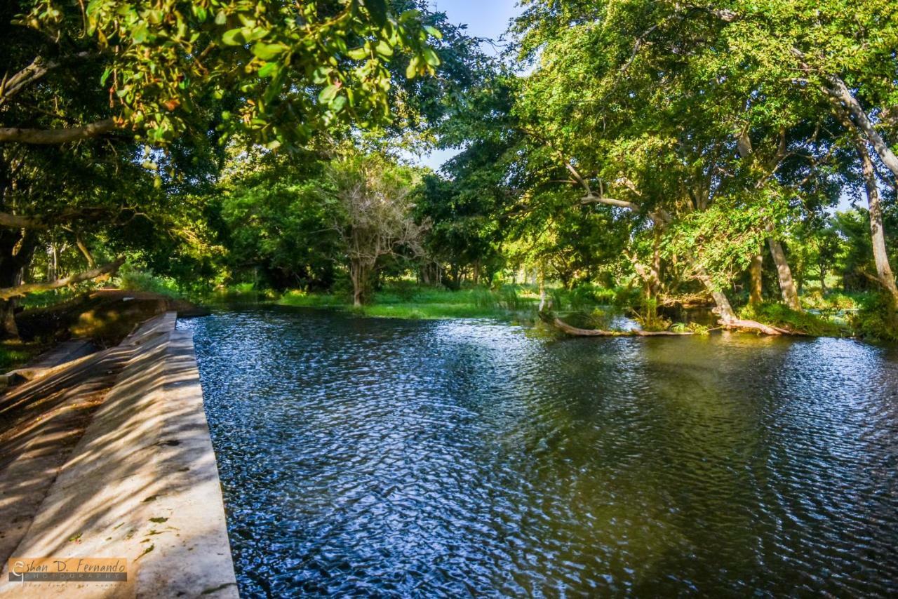 Kayjay Wild Wilpattu Hotel Bagian luar foto