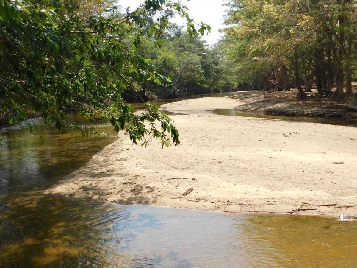 Kayjay Wild Wilpattu Hotel Bagian luar foto